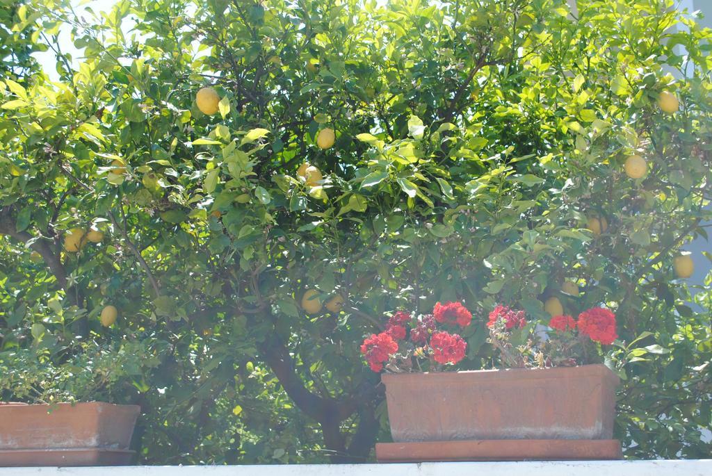 Annavi Bed and Breakfast Bari Exteriör bild